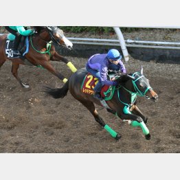 武豊を鞍上に攻めた
