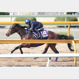 新コンビ・川田との息もピッタリ