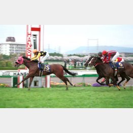 02年アローキャリー以来のVだ