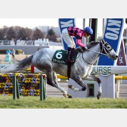 東京新聞杯は初の逃げ切り勝ちだったスマートレイアー