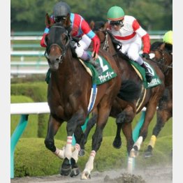 昨秋にシリウスS勝ち