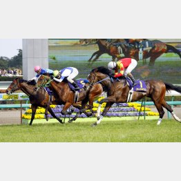 07年は若葉S馬ヴィクトリーが鼻差で逃げ切った
