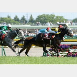 昨年は2、1、3番人気の順で本命決着だったが……