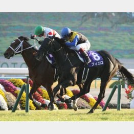 一昨年マイルCSは鼻差及ばず
