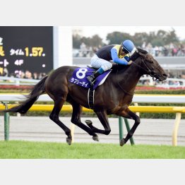 晴れたらこの馬が最有力だが……