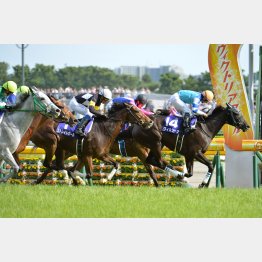 ヴィルシーナでヴィクトリアマイルを2連覇