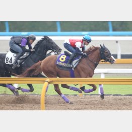 鞍上福永との呼吸もぴったり(右)