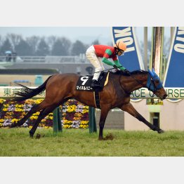 東京でフリージア賞を逃げ切り勝ち