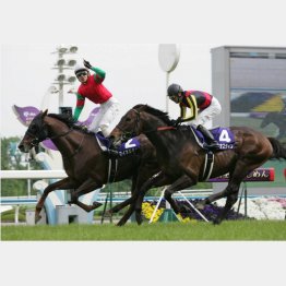 09年は1枠2番マイネルキッツが快勝