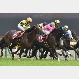 サクラゴスペルはV2を目指す