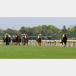 勝ったウオッカ(右)ははるか先に……