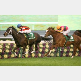 京都金杯では牡馬を蹴散らした