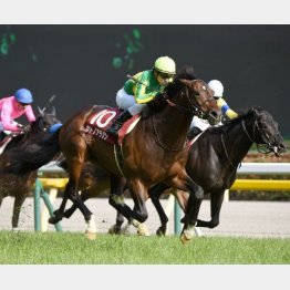 特異なラップが記録された京王杯