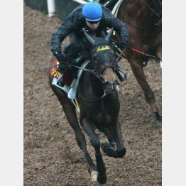 「いい状態維持」と池添騎手