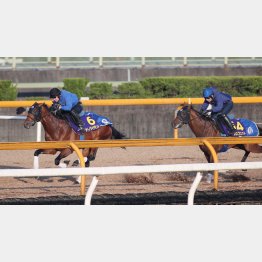 プロフェット(右)に2馬身先着した