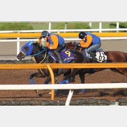 1馬身先着した(左)