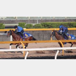 直線ではグイグイ伸びて最先着