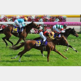シンハライトが順当勝利