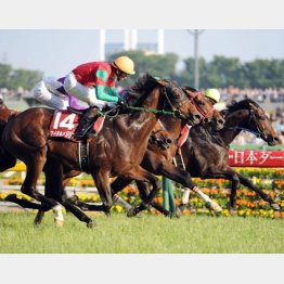 一昨年は馬単4万2000円