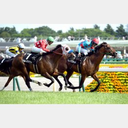 緑風Sが好内容