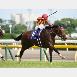 昨年のこのレースからGⅠ連勝街道へ