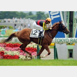 メジャーエンブレムもこの開催でデビューV