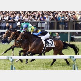 マカヒキ、サトノ、ディーマジェスティの順で入線