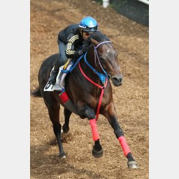 ケイコに乗った和田は「いいですね」