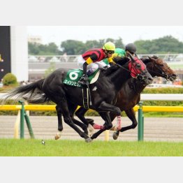 エイシンヒカリはこのレースが重賞初制覇だった