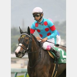 昨年は8番人気シャトーブランシュがV