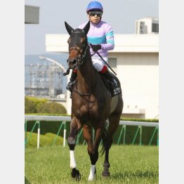牡馬を蹴散らすパワー