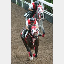 豪快に3馬身先着した