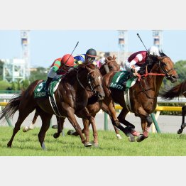 ディサイファが勝った14年は②③着も関東馬