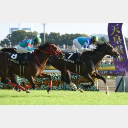 アイルランドT以来のVを狙うヒストリカル