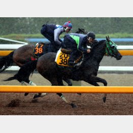 内から僚馬を楽々と抜き去ったルージュバック