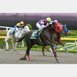 昨年はノンコノユメが勝利