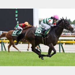 フルーキーに2馬身半差で勝利