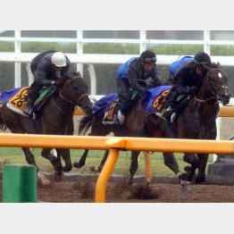 先週は格上相手に併入(右)