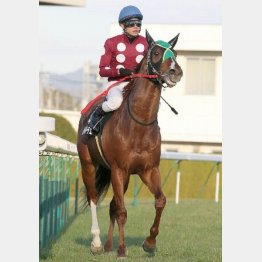 3連勝でオープンも逃げ切り