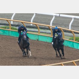 内に潜り込み、併入に持ち込んだオデュッセウス(左)