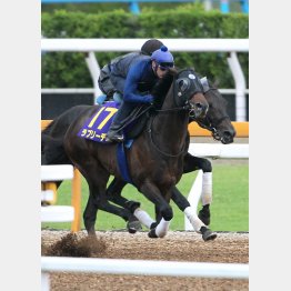 鞍上は上々の感触を掴んだ