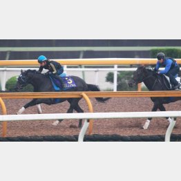 楽に2馬身先着(左)