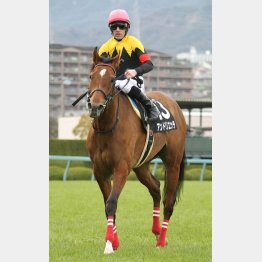 3月に準オープン勝ちのアンドリエッテは何と一千万に降級する