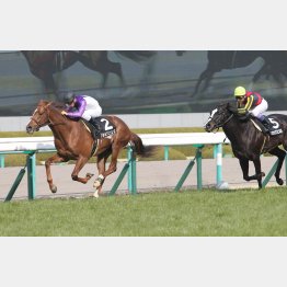 すみれSではブラックスピネルに先着している