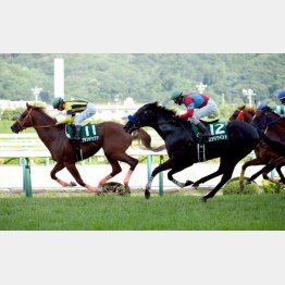 昨年は3連単100万円