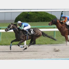 栗東Sも完勝だった