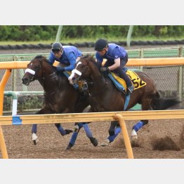 外インパルスヒーローよりも終始、楽だった