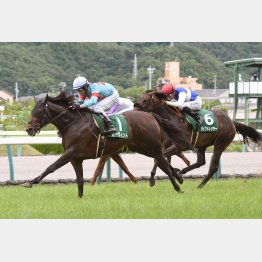 先週はディープ産駒ゼーヴィントが重賞を制したが…