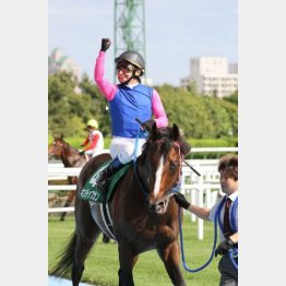11年は3連単40万馬券