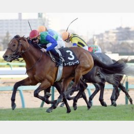 ディセンバーSではスーパームーンに首差の勝利